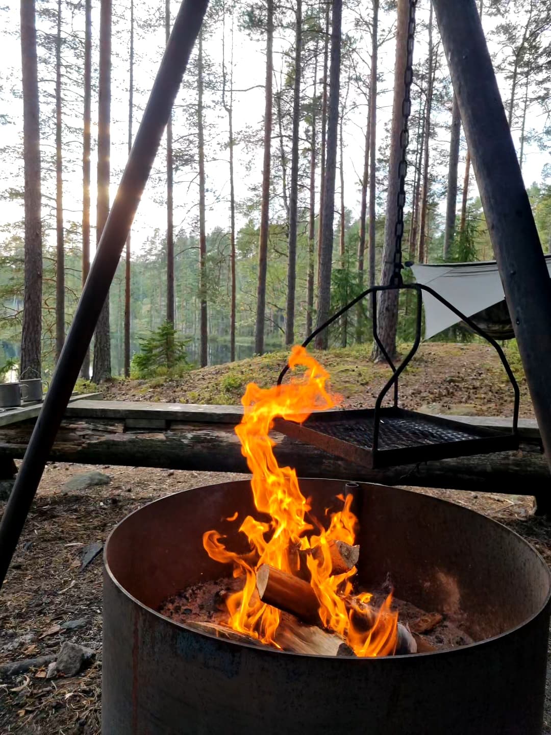 Burning fire pit with a hammock in the background.