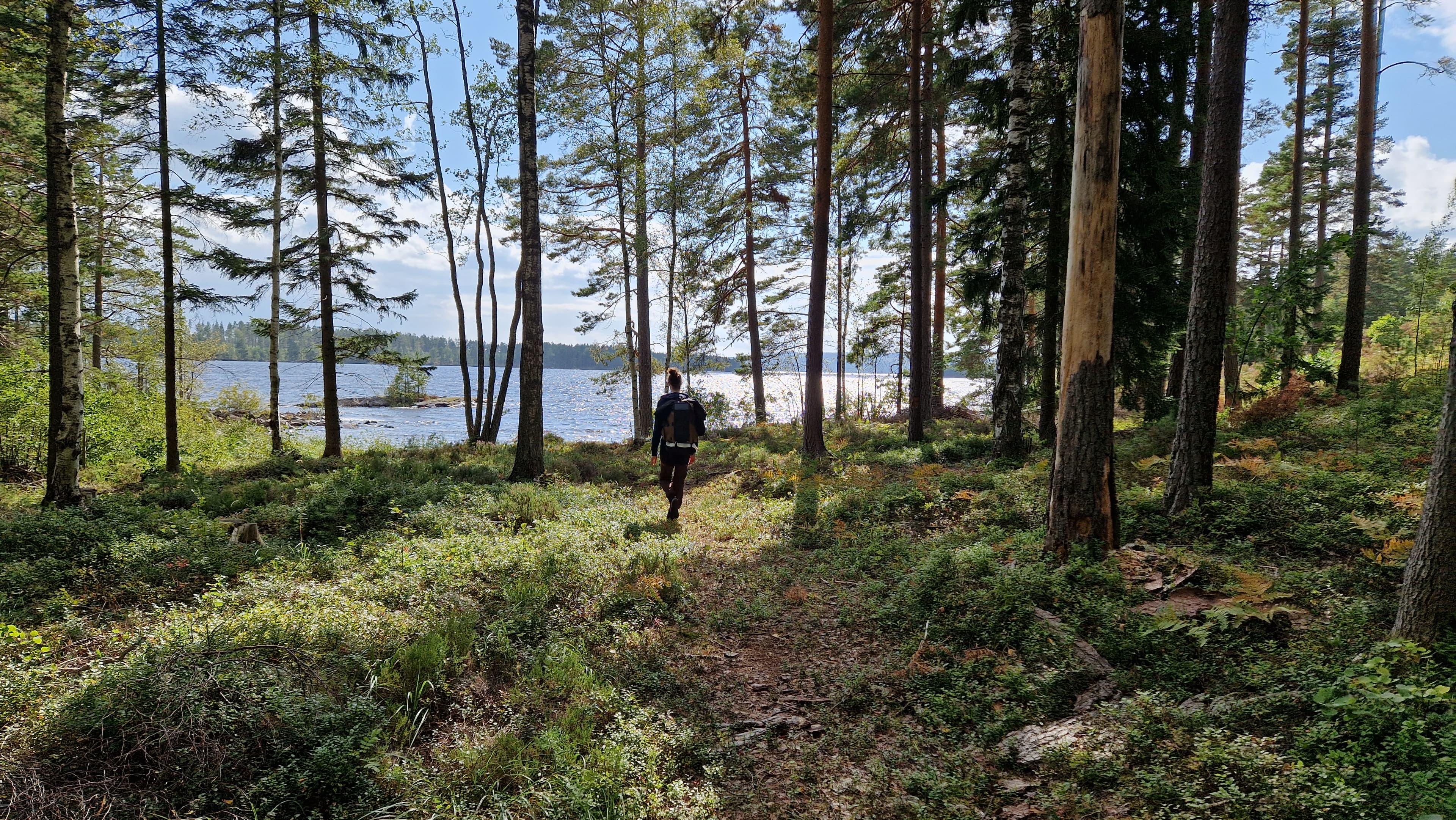 Person with a backpack walking in a forest towards a lake.
