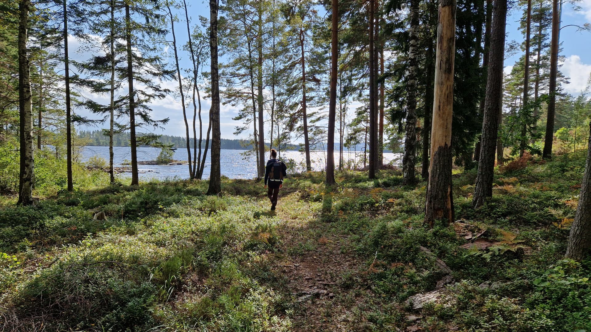 Person with a backpack walking in a forest towards a lake.
