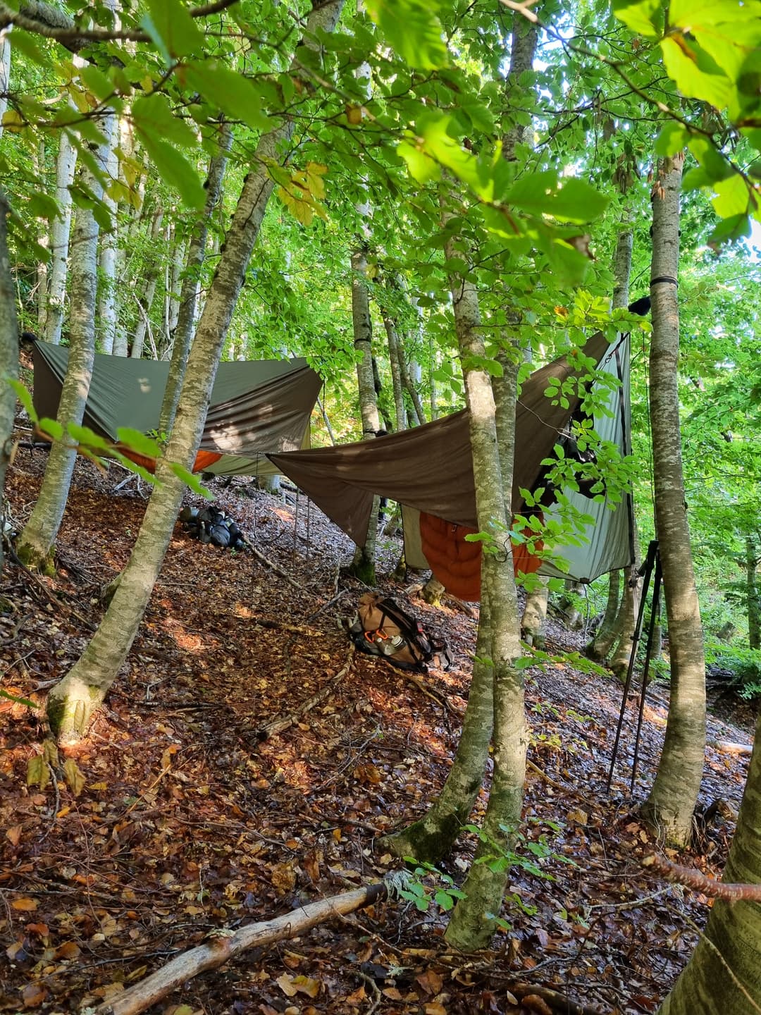Hammock camping near Lepushe.