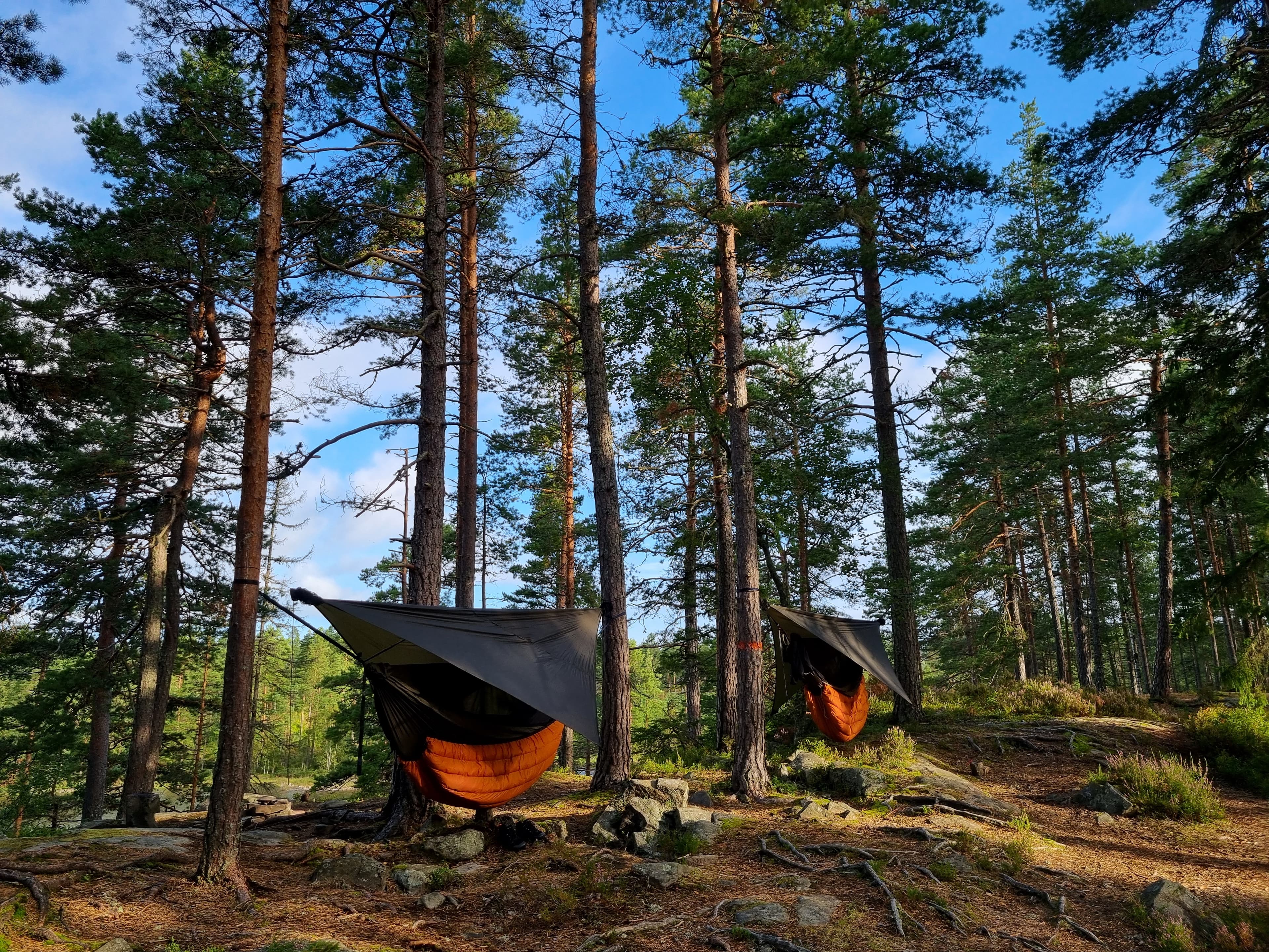 Hammock with tarps setup in a forest.