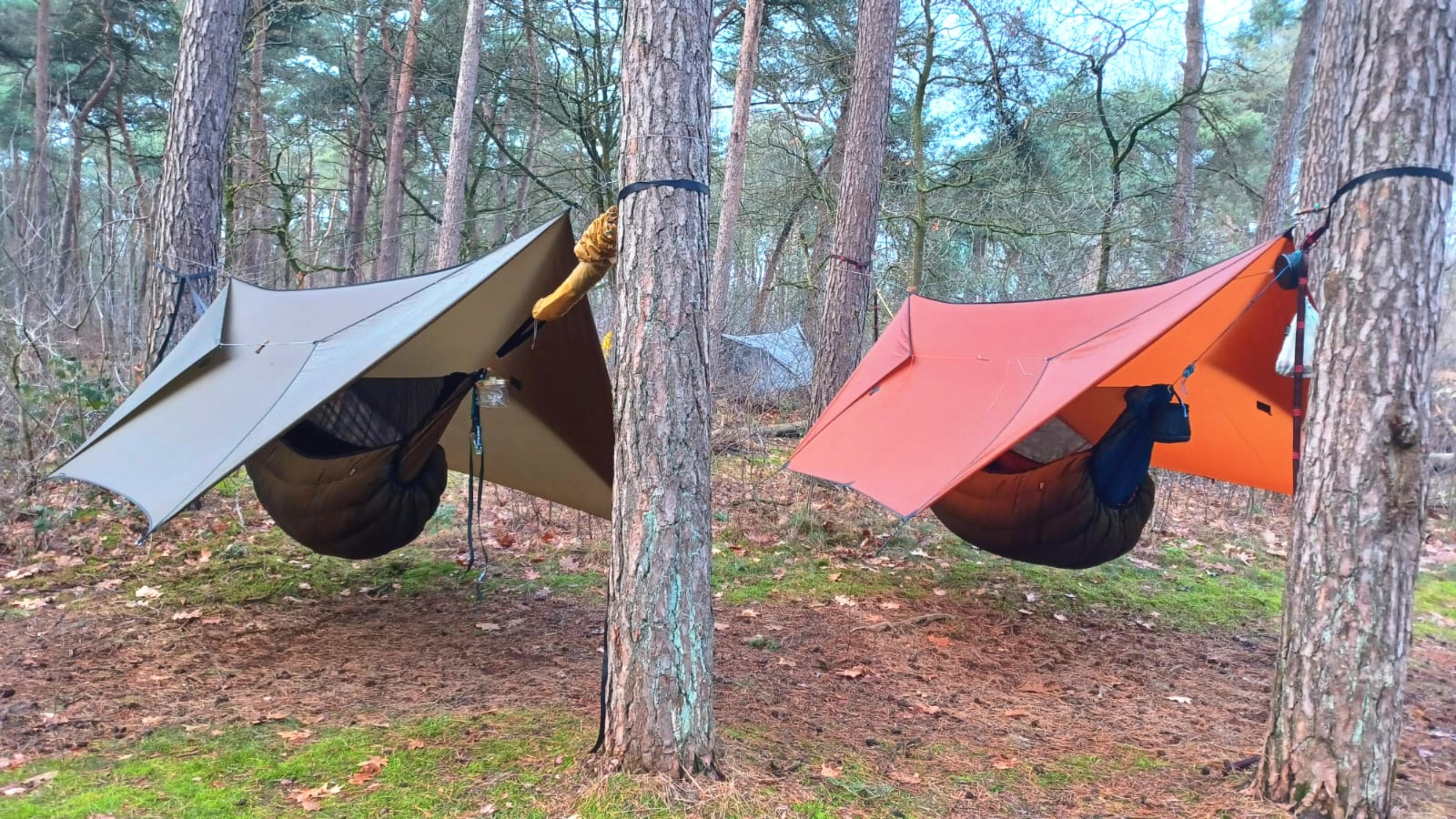 Two hammocks with tarps above them setup on trees.