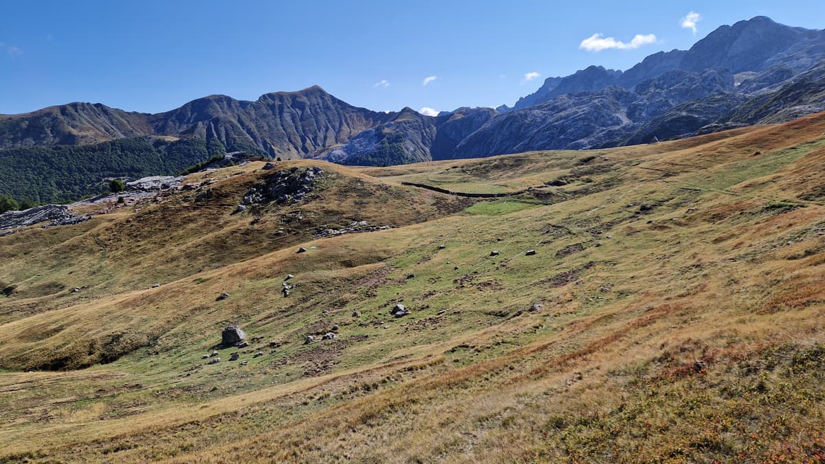 Wide meadow with mountains in the background.