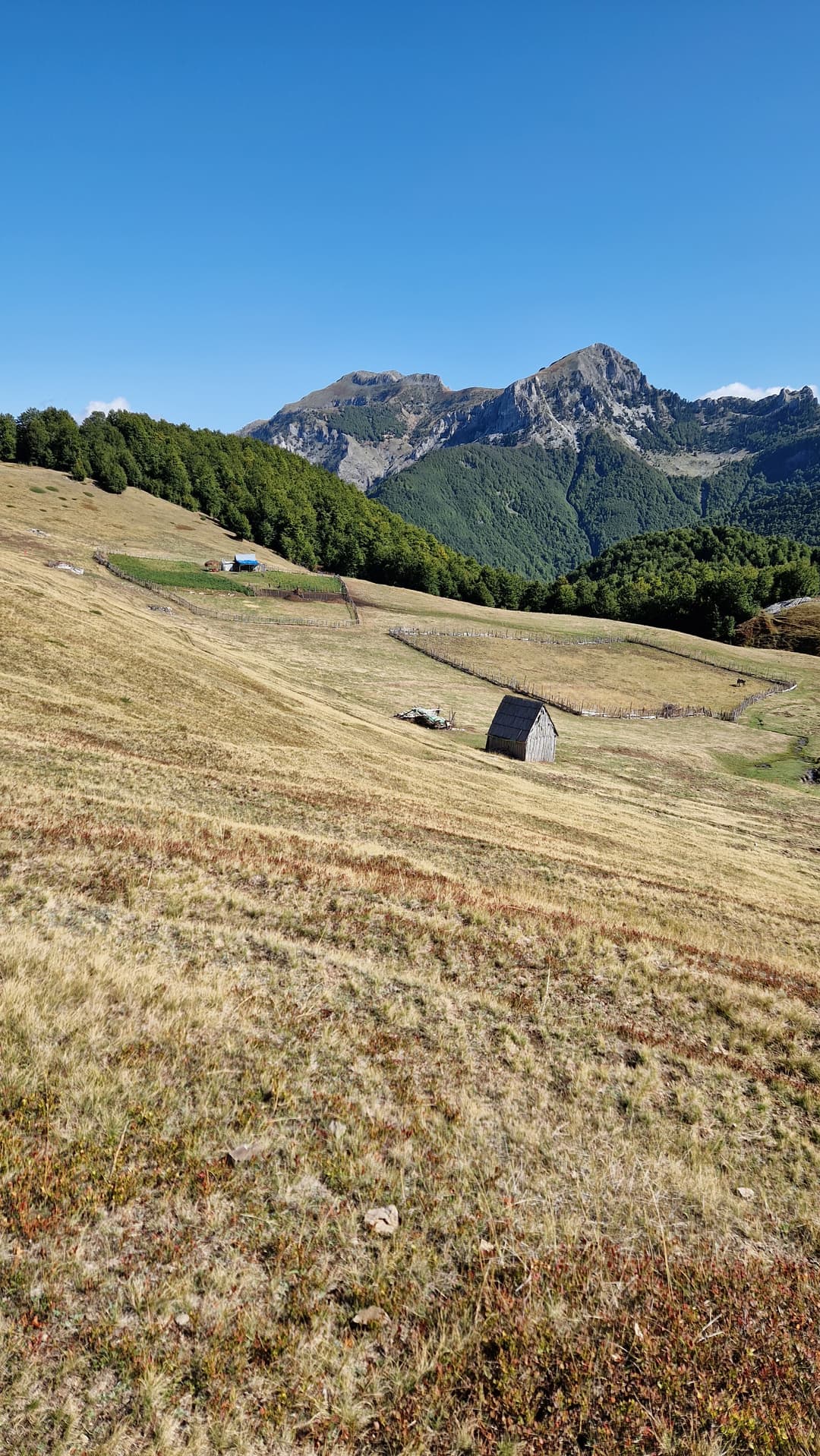 Medow with farm fences near Lepushe.
