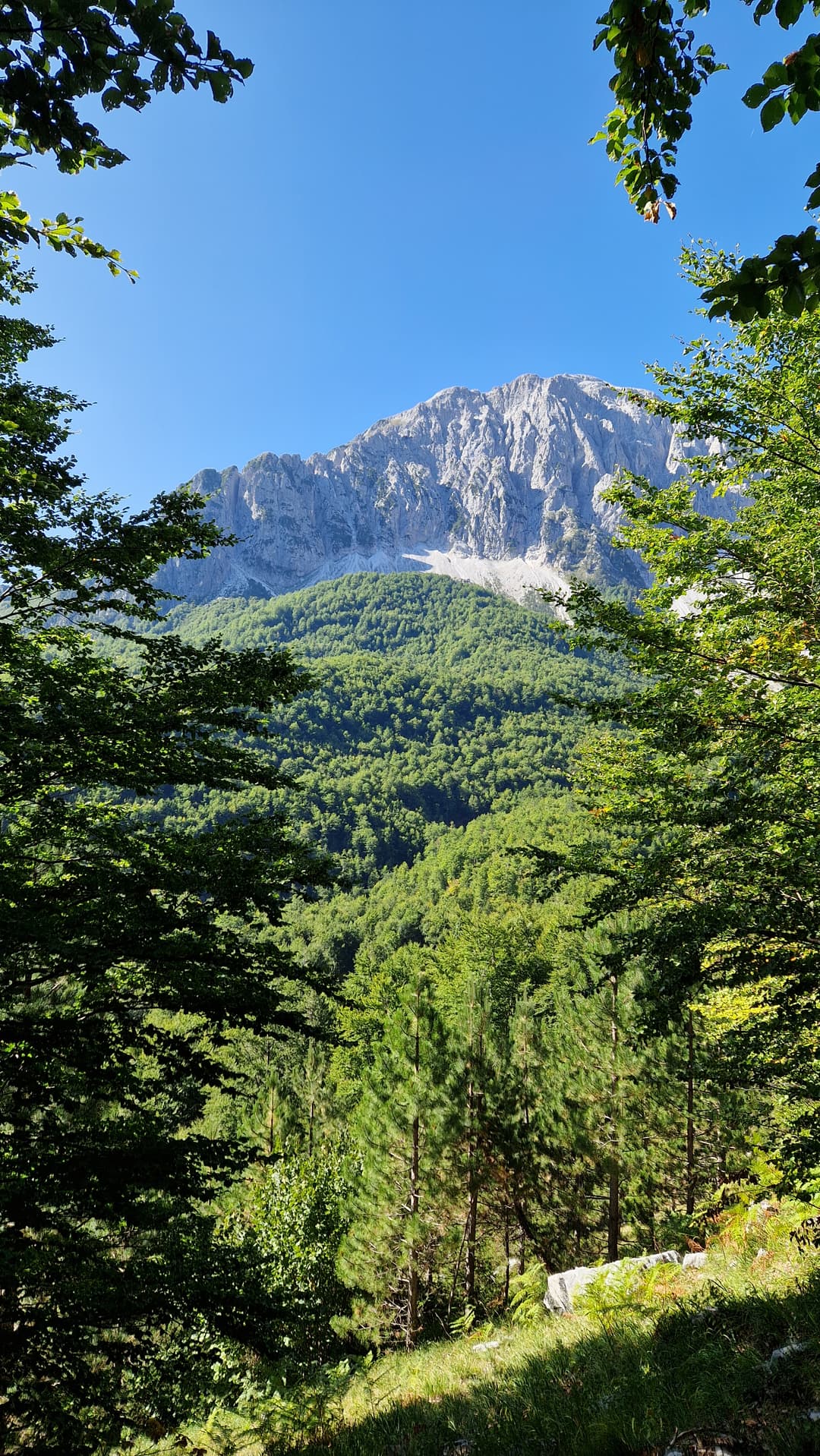 Mountain forest views from Maja Rosit trail.