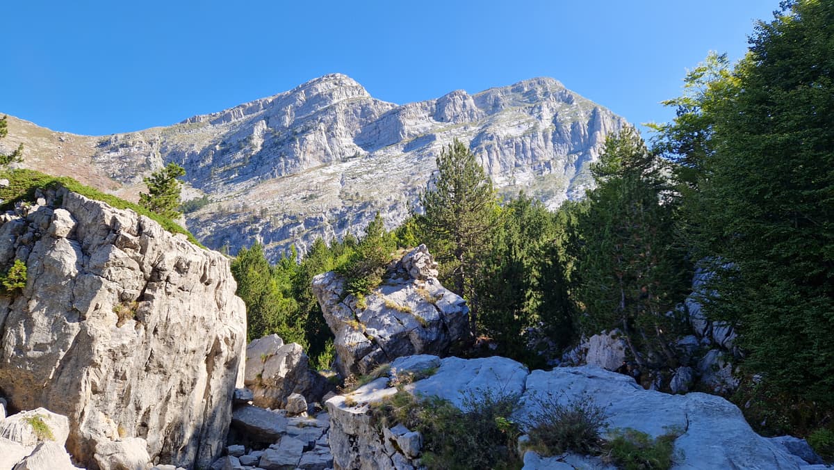 A rocky forest with mountains in the background.