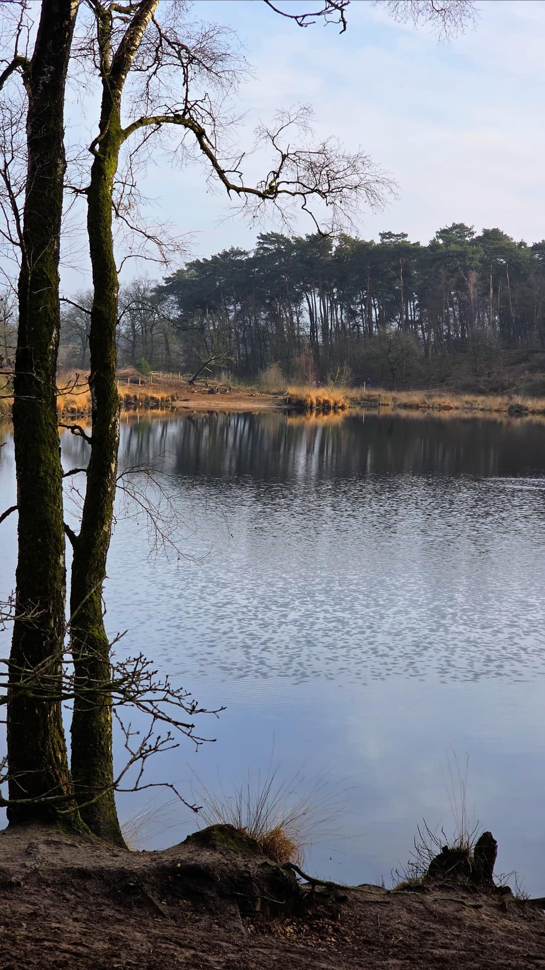 Overasselt Nature Reserve.