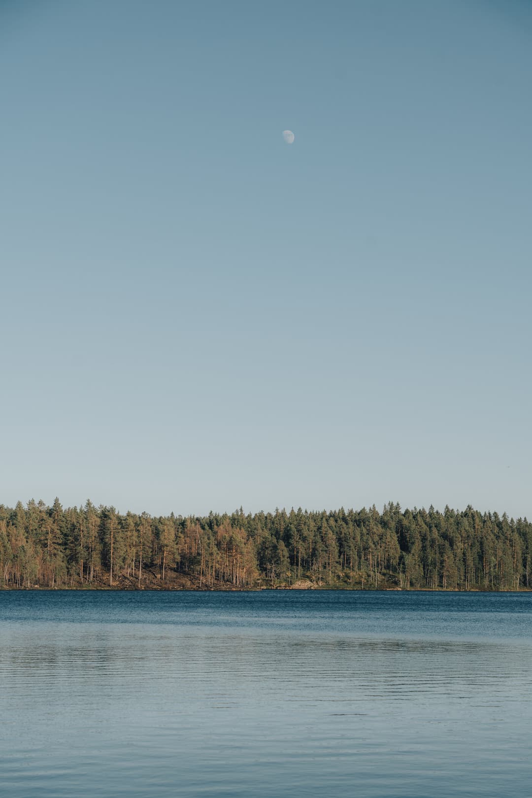 Glaskogen lake with a full moon in the background. Glaskogen lake with a full moon in the background.